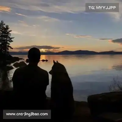何战朗